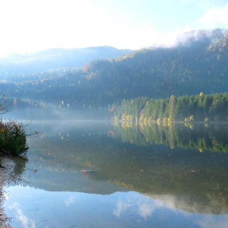 Ferienwohnung Neuper Bad Mitterndorf Luaran gambar
