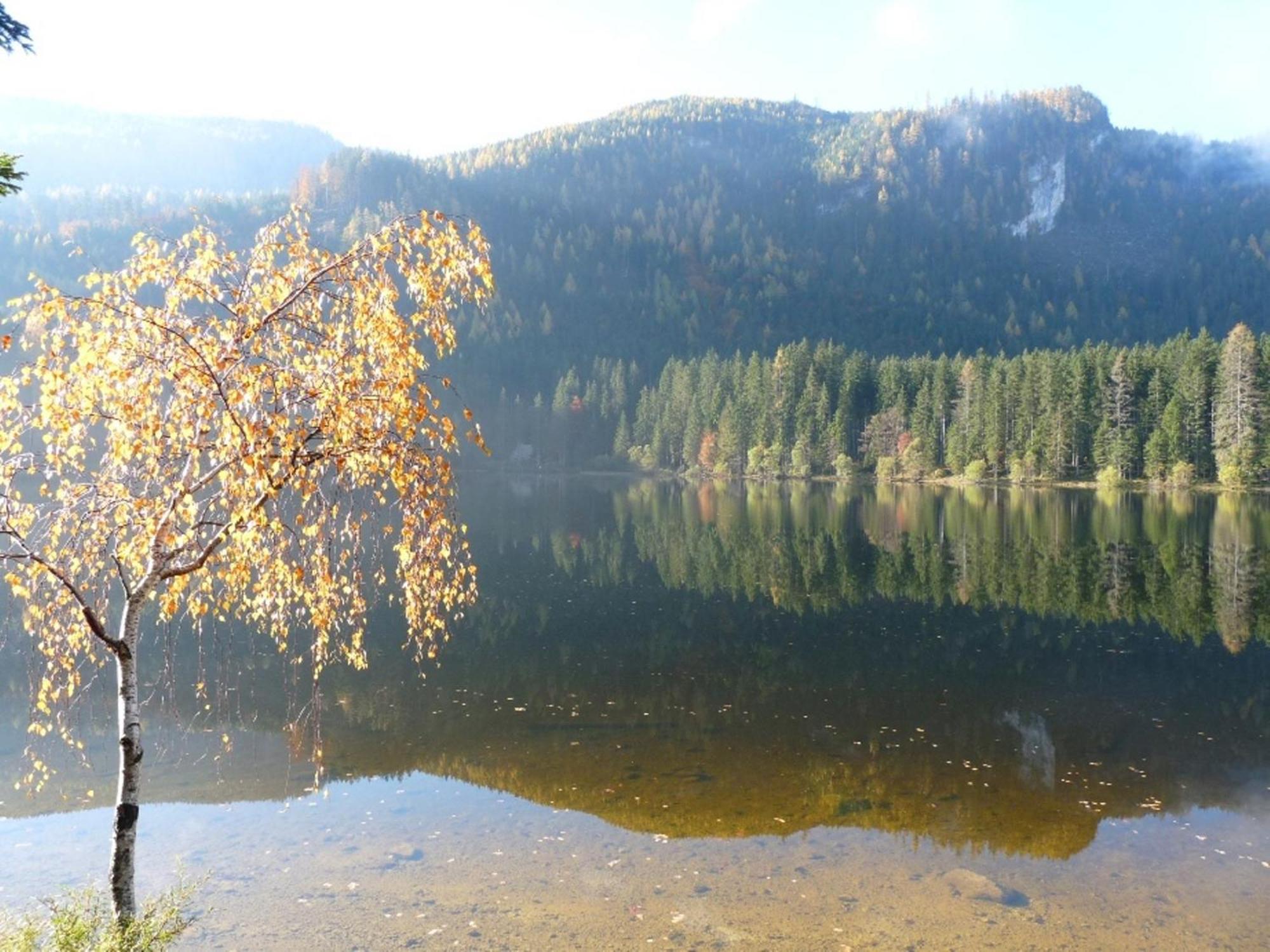 Ferienwohnung Neuper Bad Mitterndorf Luaran gambar
