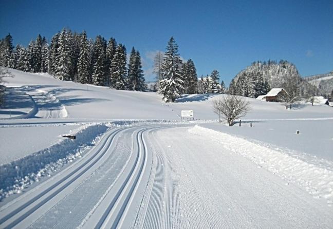 Ferienwohnung Neuper Bad Mitterndorf Luaran gambar